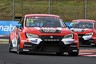 Top SEAT TCR squad Craft-Bamboo decides against 2018 WTCR