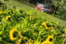 WRC crews say new Rally Germany route 'really boring'