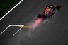 Red Bull F1 driver Verstappen has 'sixth sense' in wet, Horner says