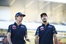 Webber tips 'more composed' Ricciardo over Verstappen in F1 2017