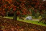 FIA blocks 'radical final stage plan for 2018 WRC Rally GB
