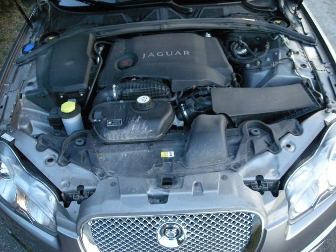 jaguar-xf3855g.jpg