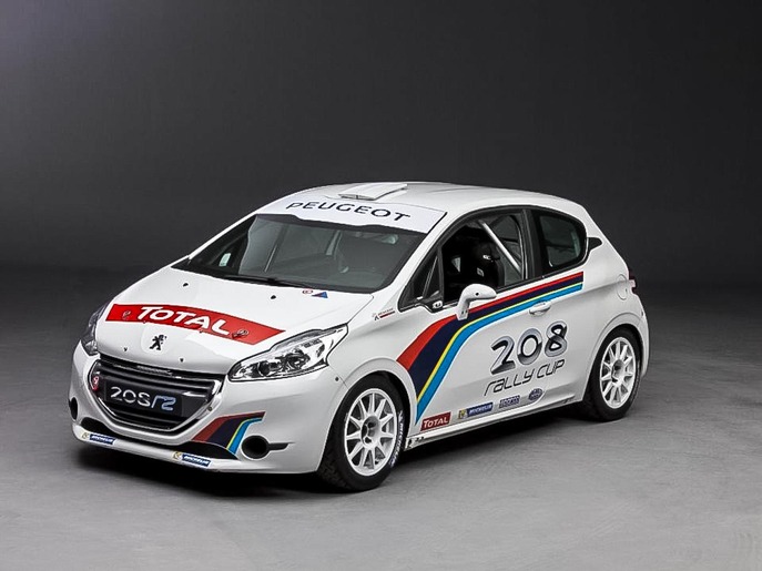 peugeot-sport-2013-208-r2-rally-cup-002-960.jpg