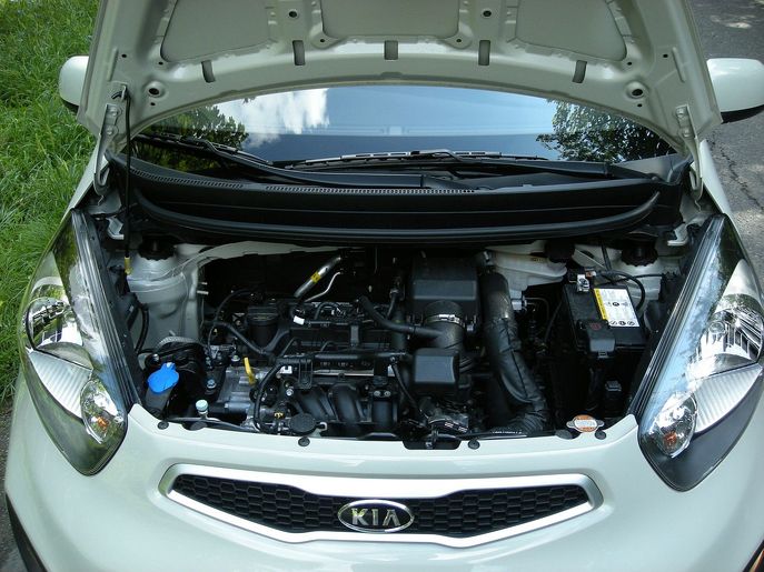 picanto-5454g.jpg