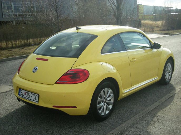 vw-beetle6159g.jpg