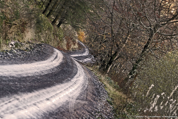 wales-rally-gb-setting-the-stage-2.jpg
