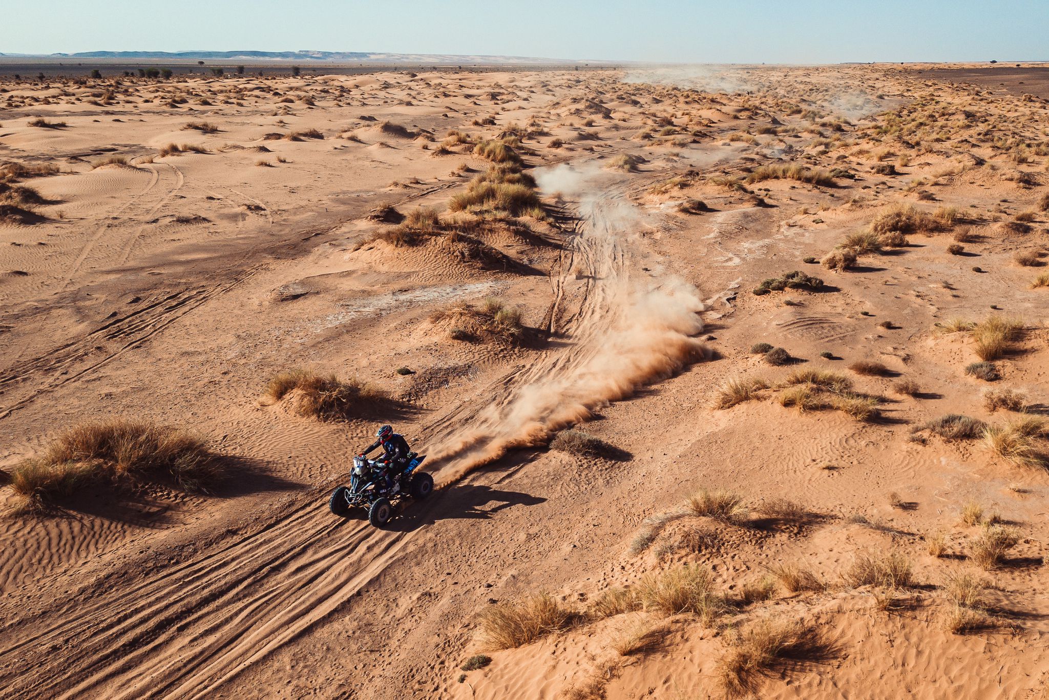 MM Photography MM Photography