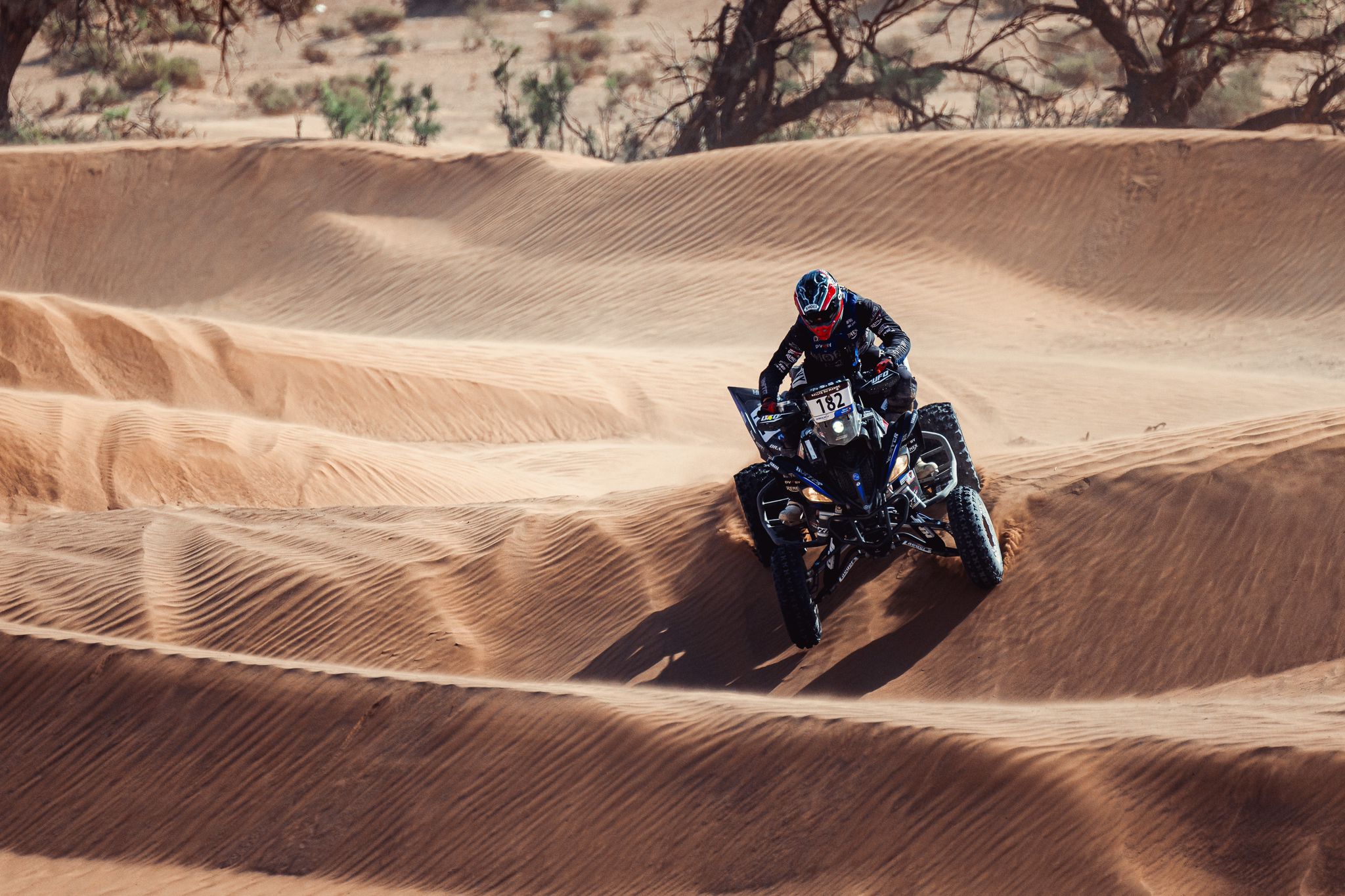 MM Photography MM Photography