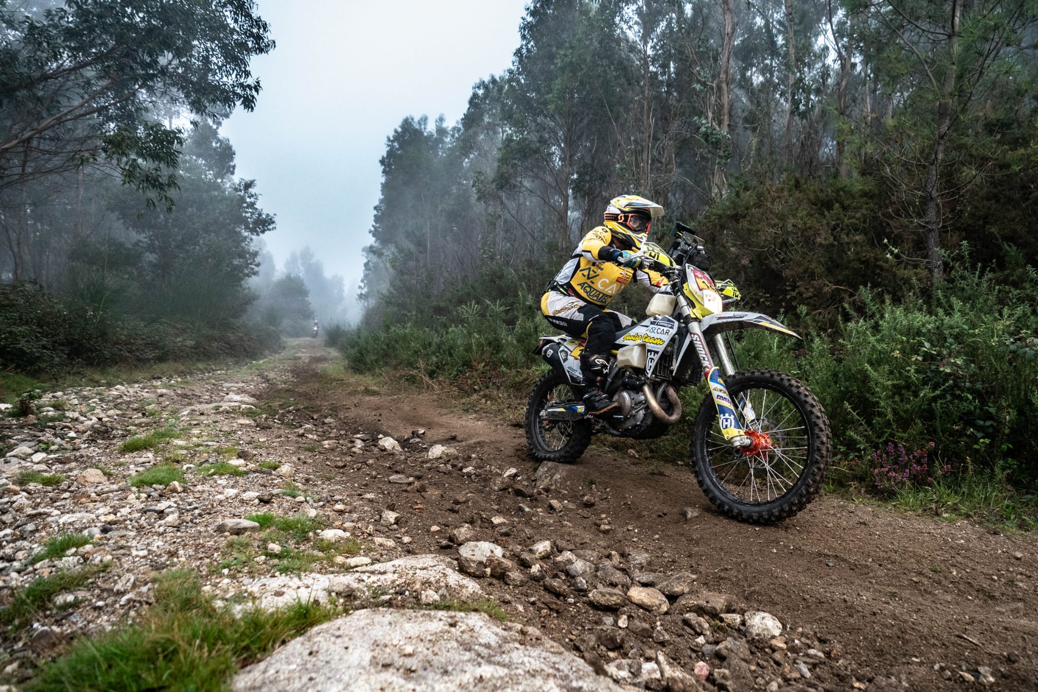 Jantar Team Jantar Team