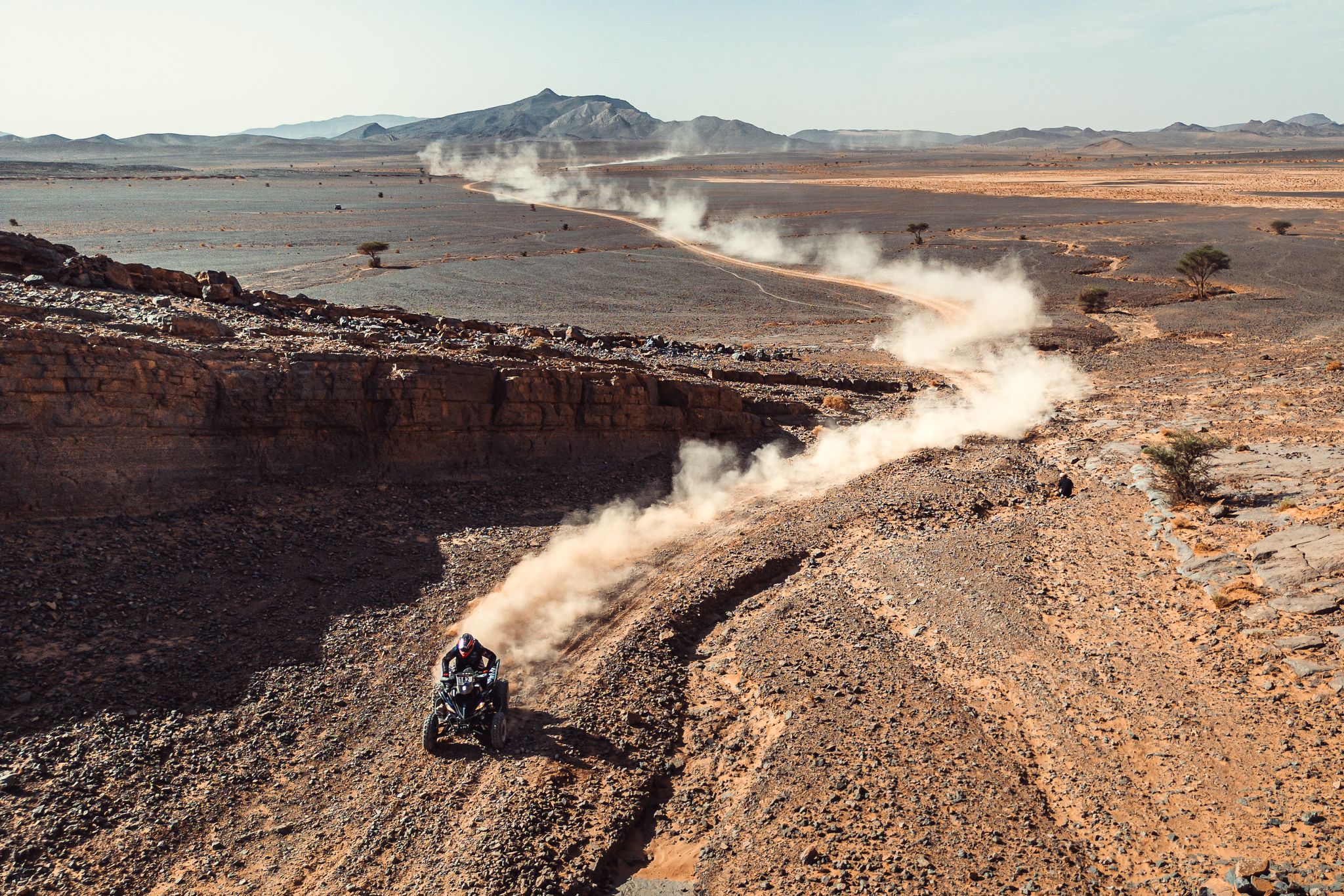 MM Photography MM Photography