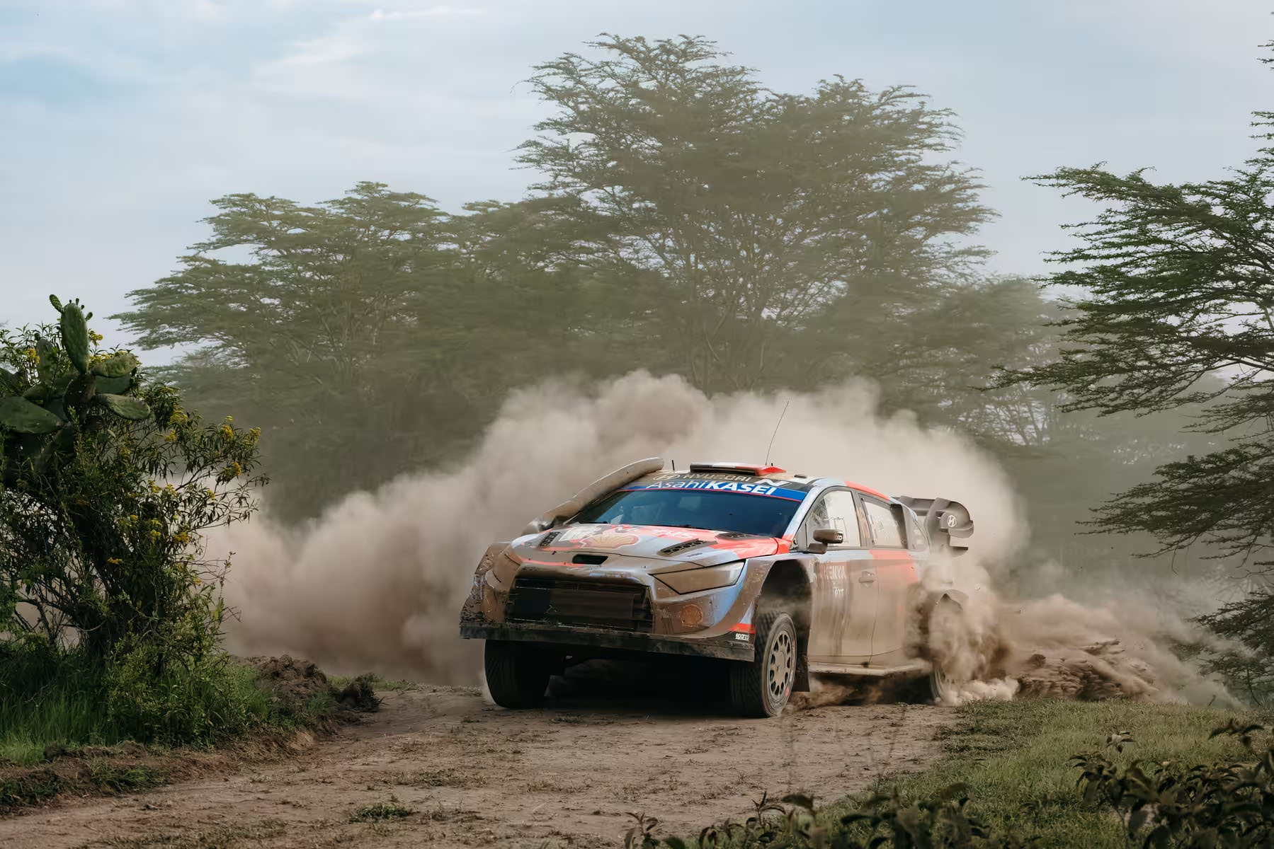 Hyundai Motorsport; 2026kenya-hem-252-1-5x-3fa49c71.jpg