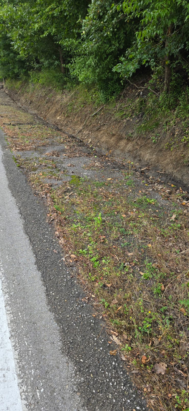 AUTOPOLA Jankov vŕšok 2025 AUTOPOLA Jankov vŕšok 2025