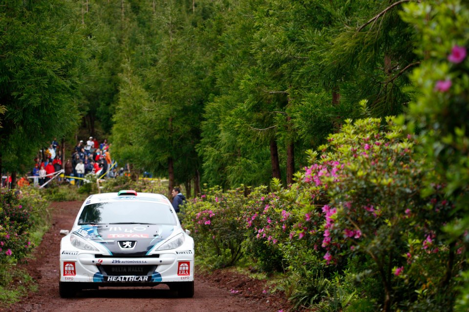 FIAERC; 24623-329066427219953-2139313286-n.jpg