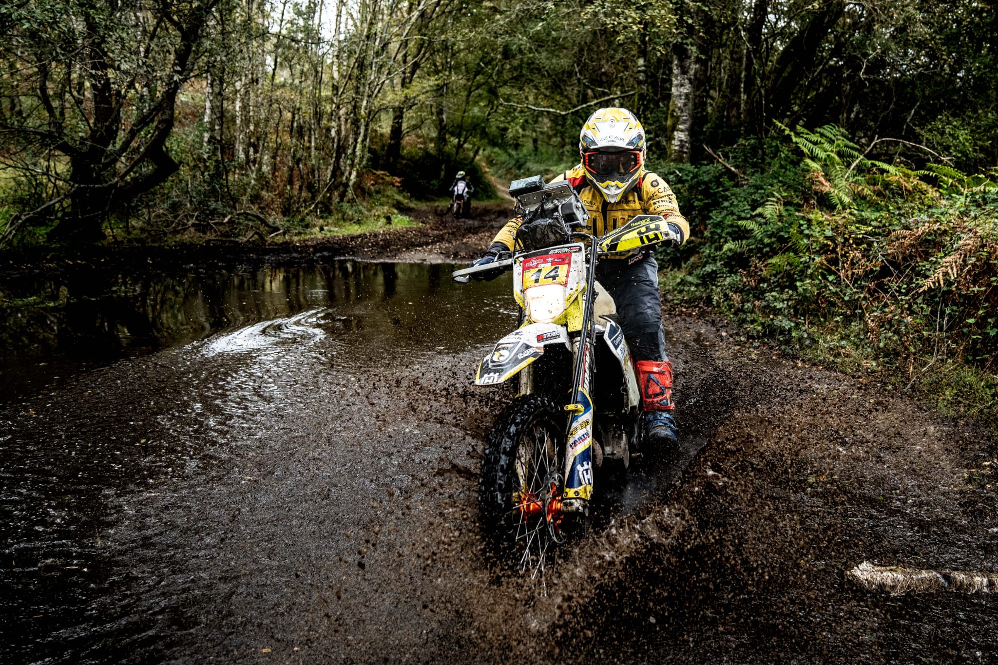 Jantar Team Jantar Team