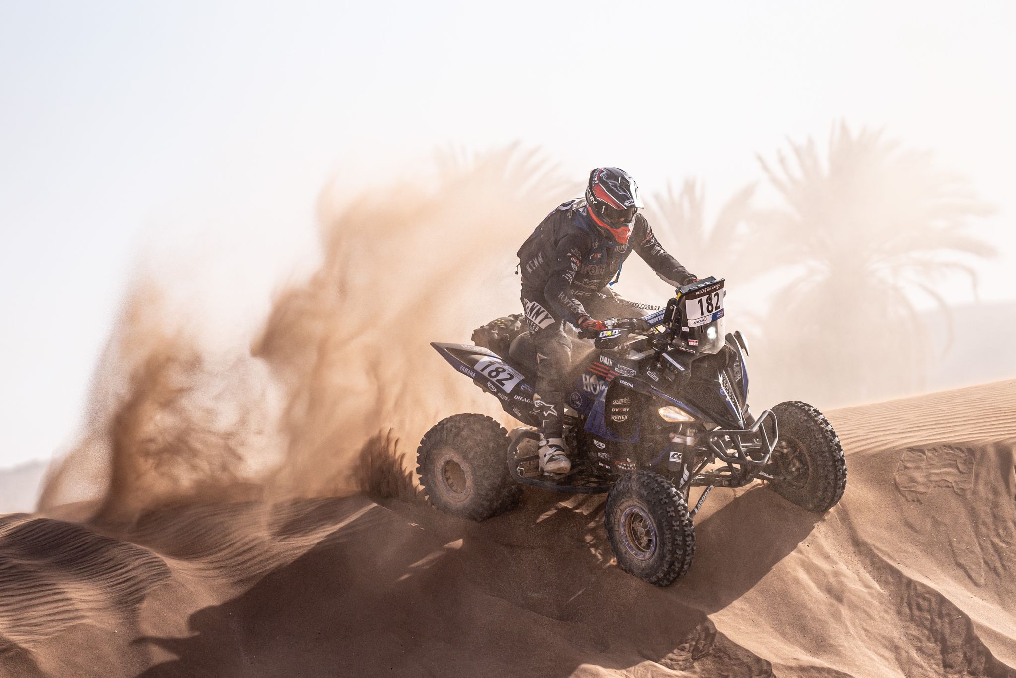 MM Photography MM Photography