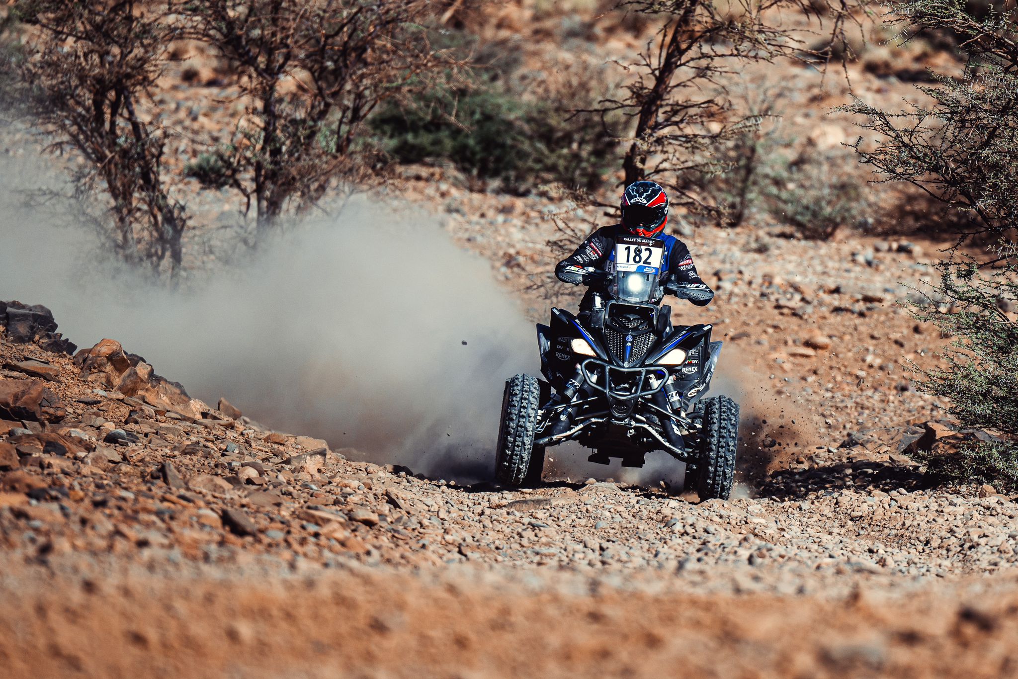 MM Photography MM Photography