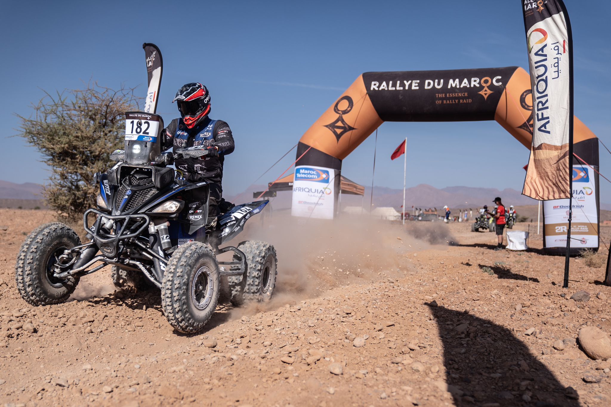 MM Photography MM Photography