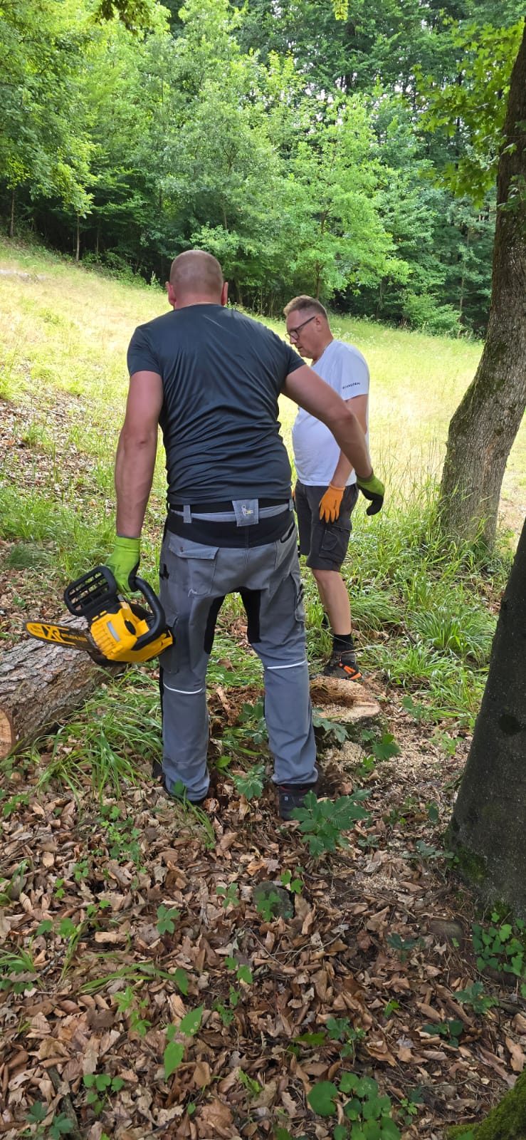 AUTOPOLA Jankov vŕšok 2025 AUTOPOLA Jankov vŕšok 2025