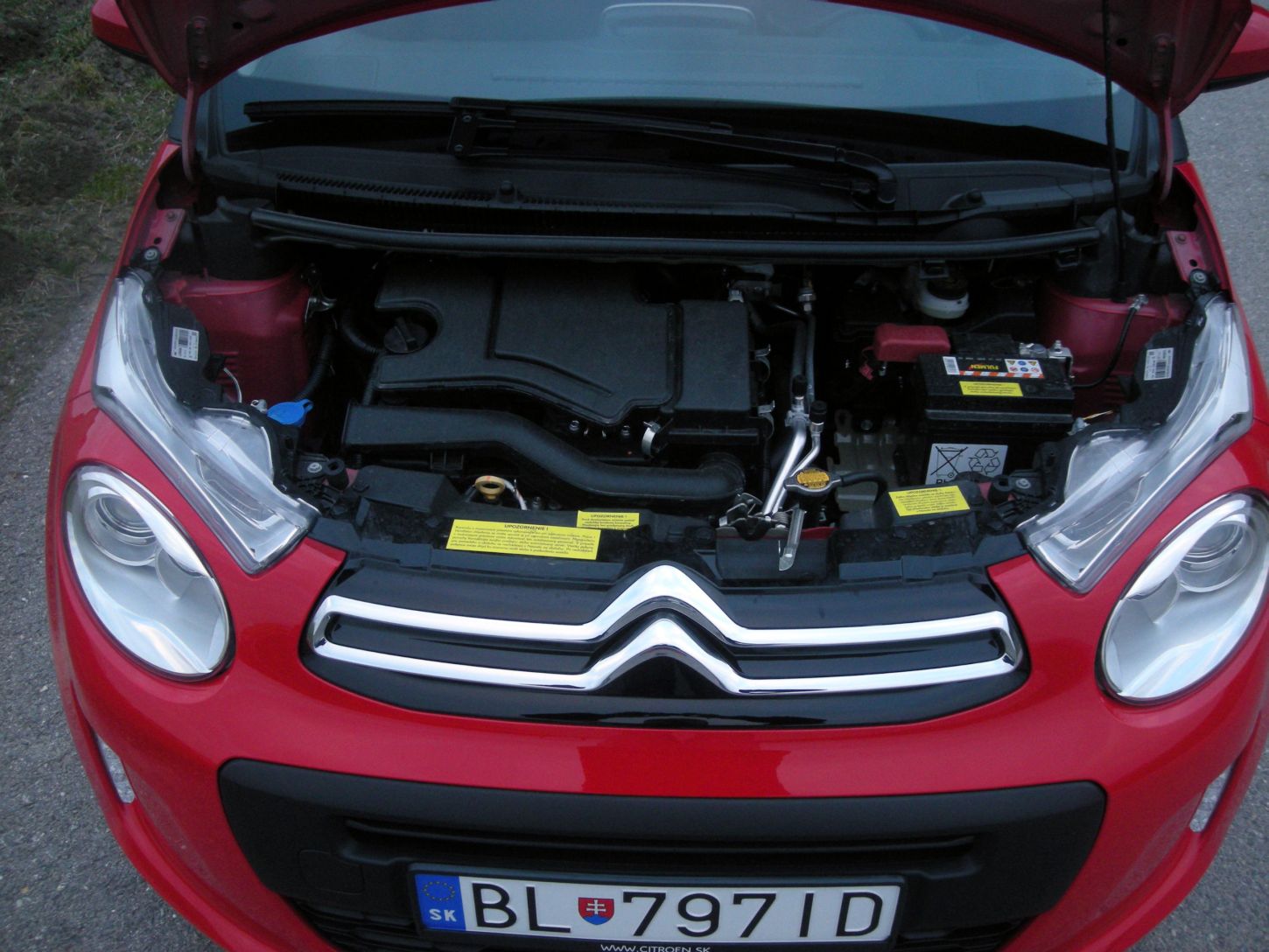 cit-c1-9919g.jpg