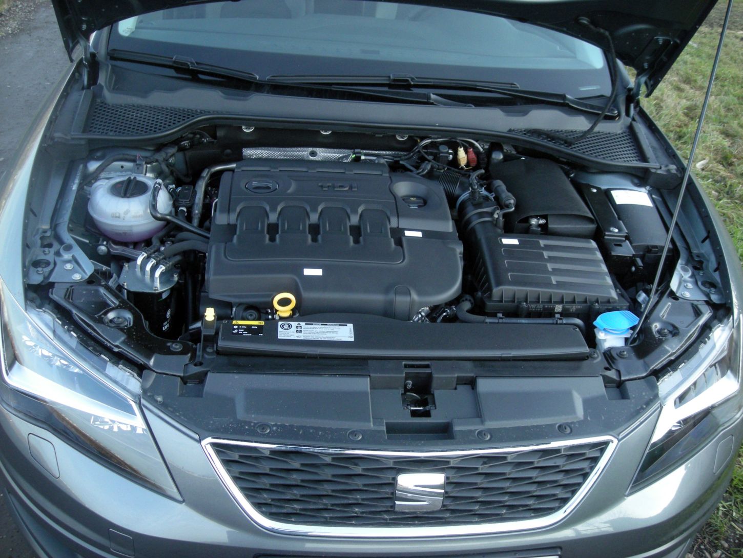 d-leon-x-per-9895g.jpg