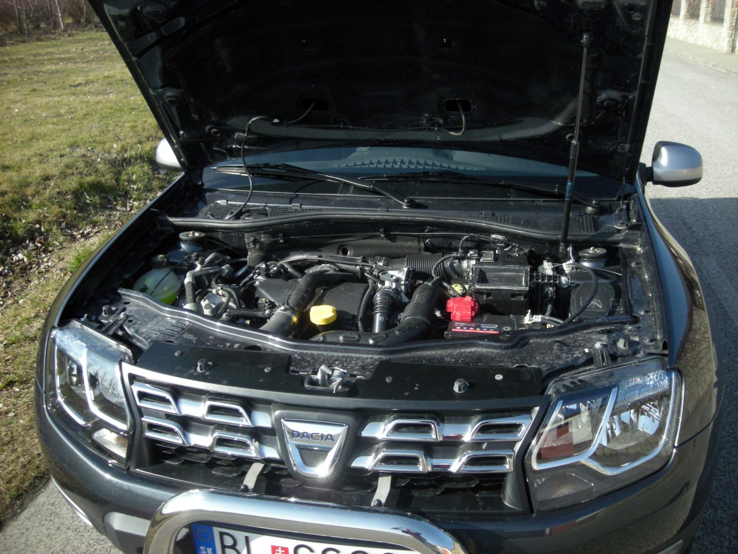 Ivan Václavík; duster-4wd-8949g.jpg
