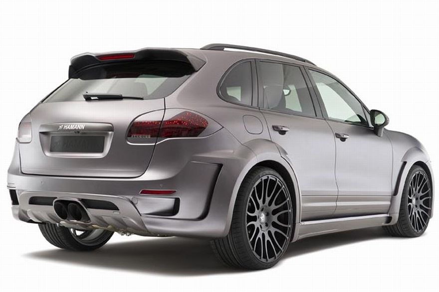 hamann-guardian-rearg.jpg