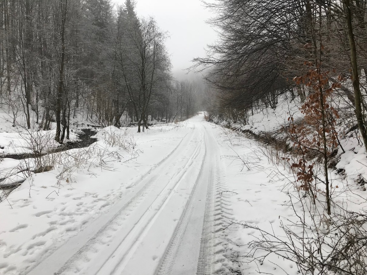 img-3748.jpg