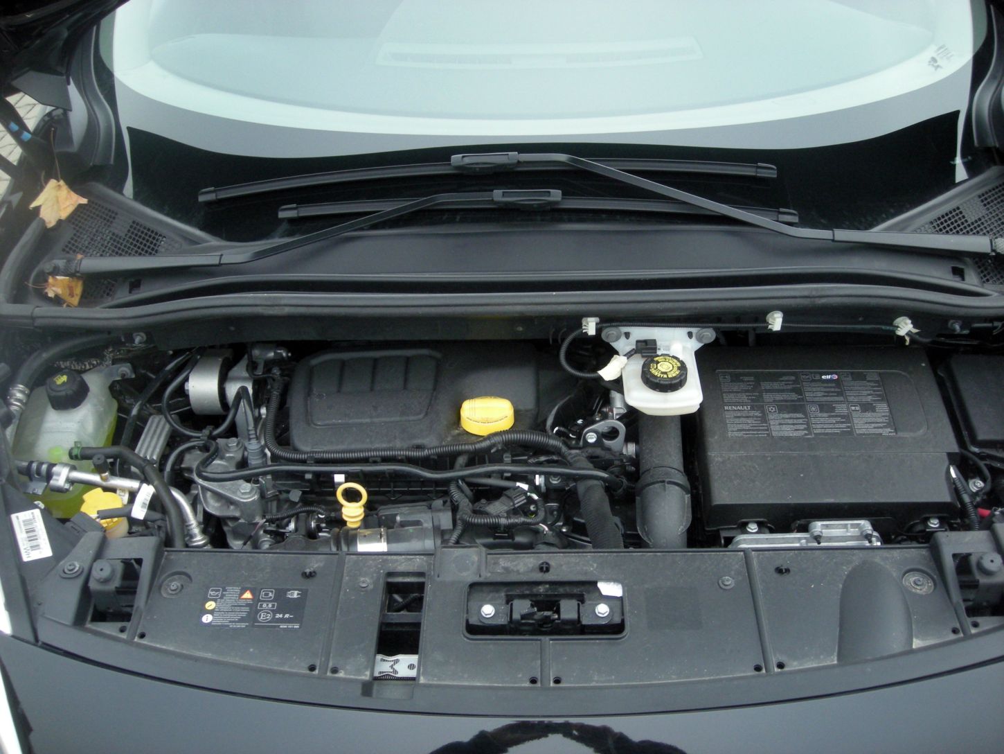 m-grand-scenic-9743g.jpg
