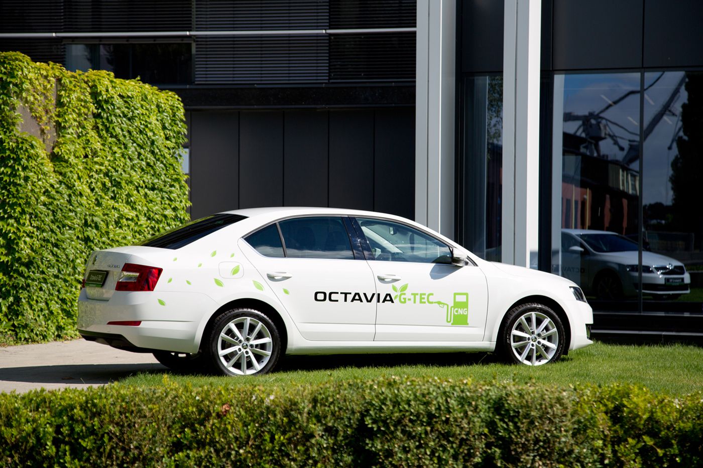 octavia-g-tec-3-g.jpg