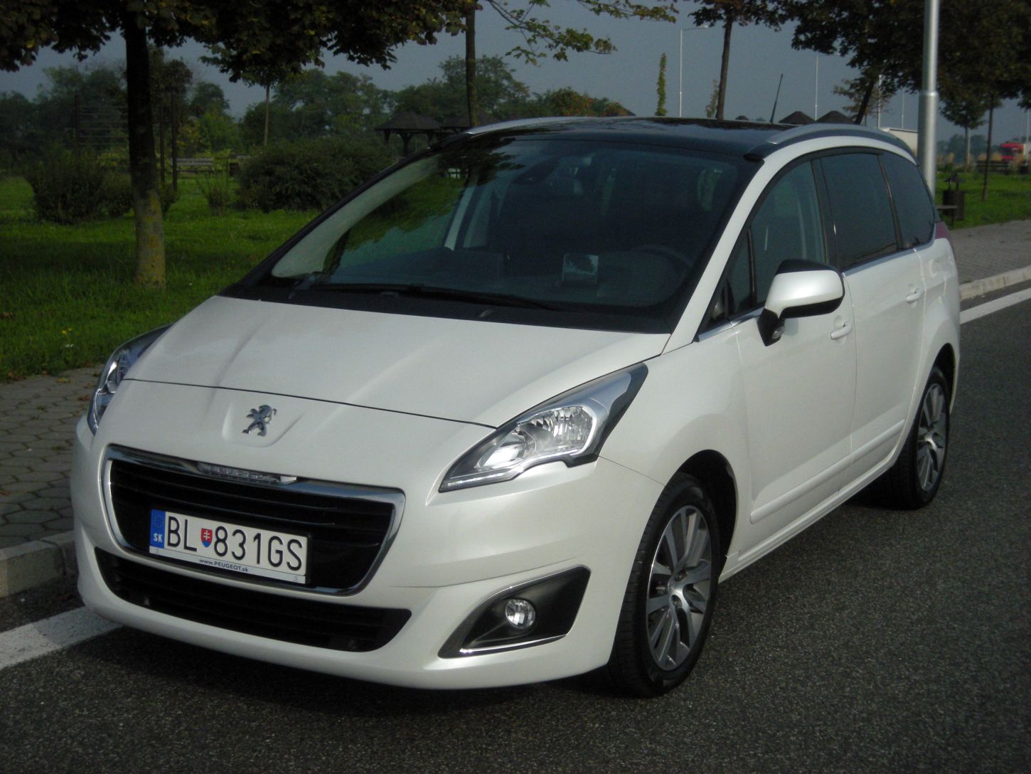 peugeot-5008-hdi-9624g.jpg