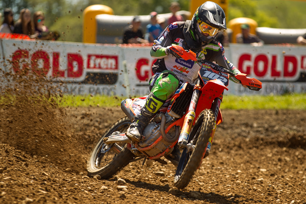 sikyna-adac-moggers-2016-05.jpg