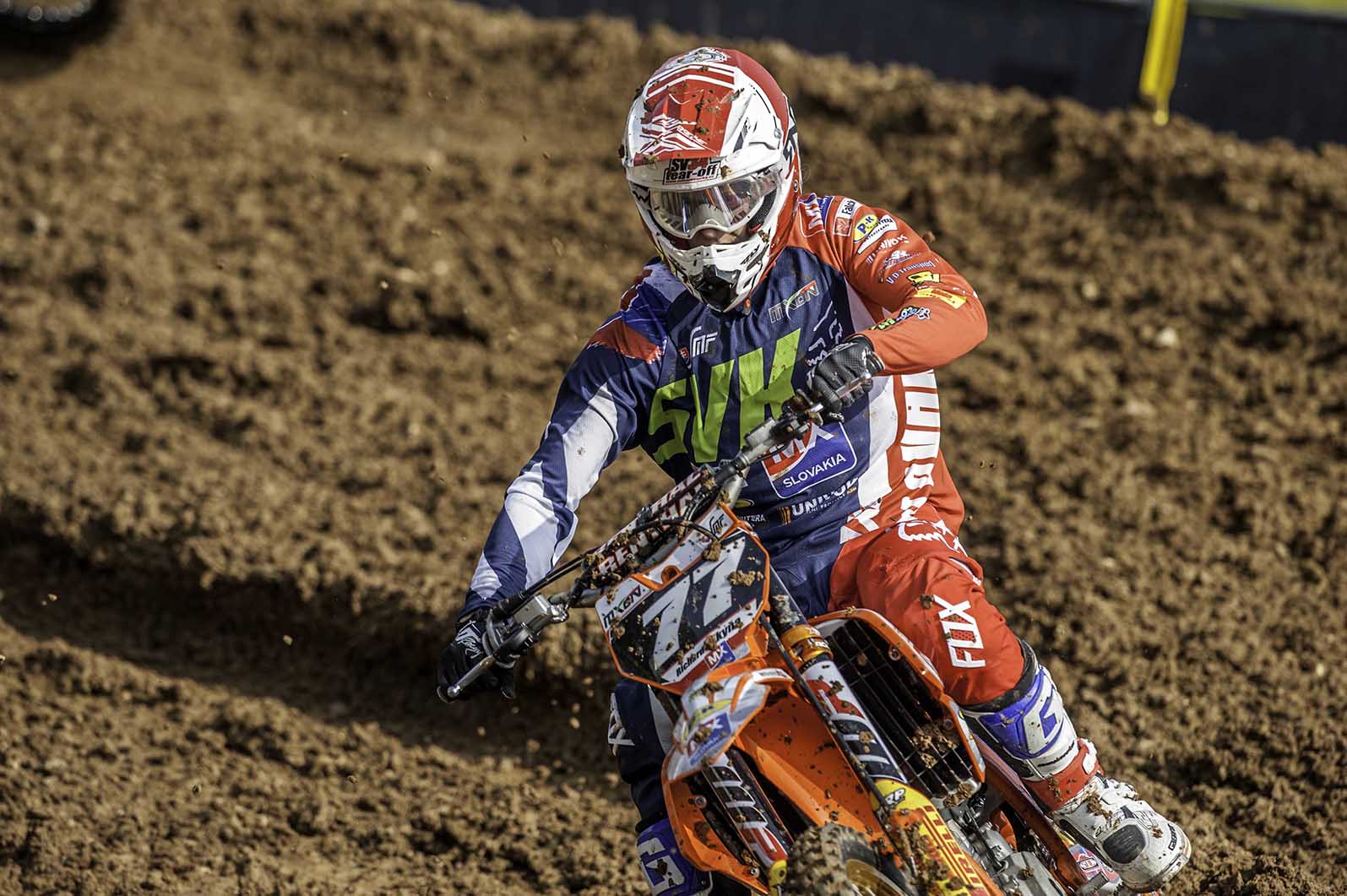 sikyna-mxon-2016-01.jpg