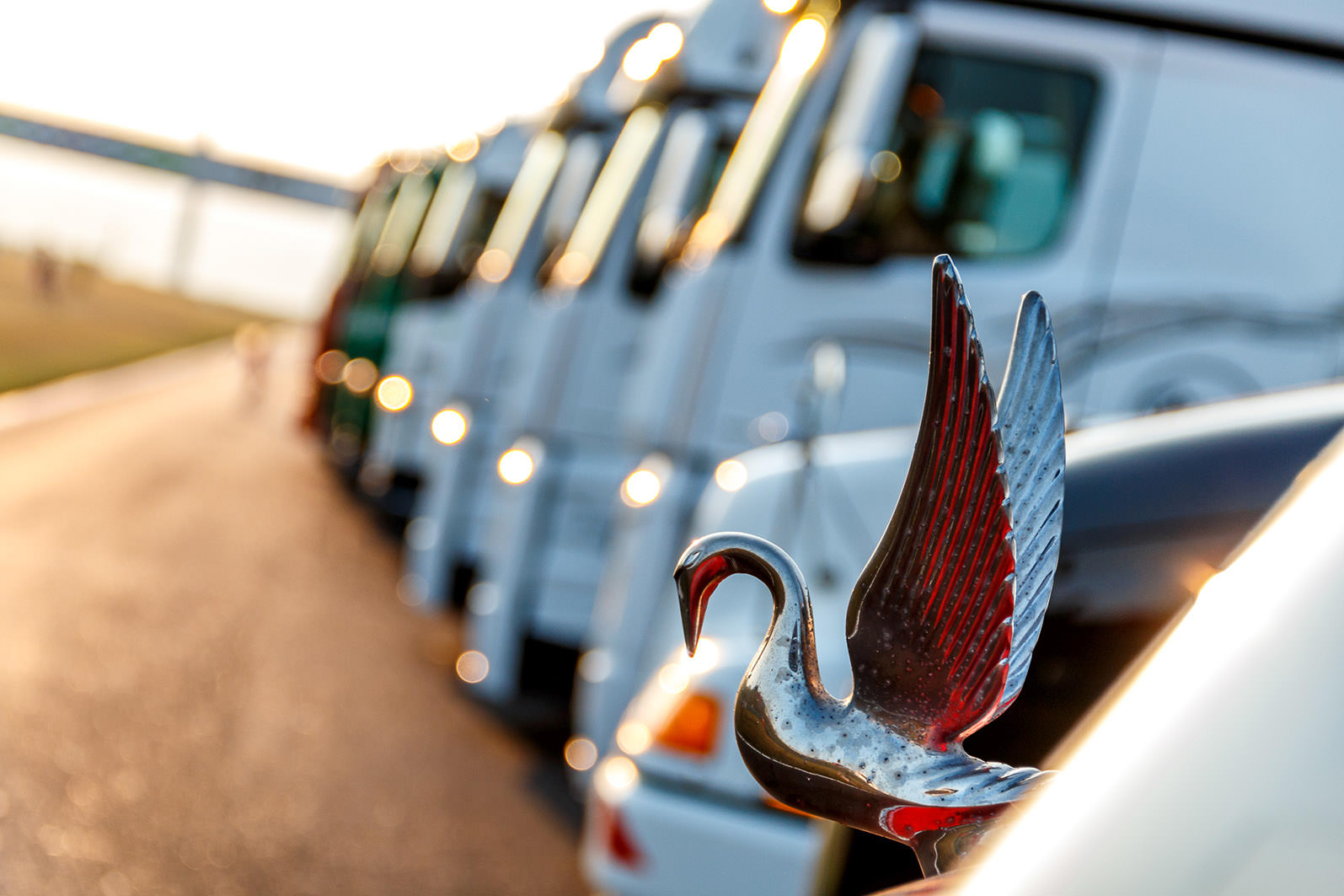 truck-fest-4.jpg