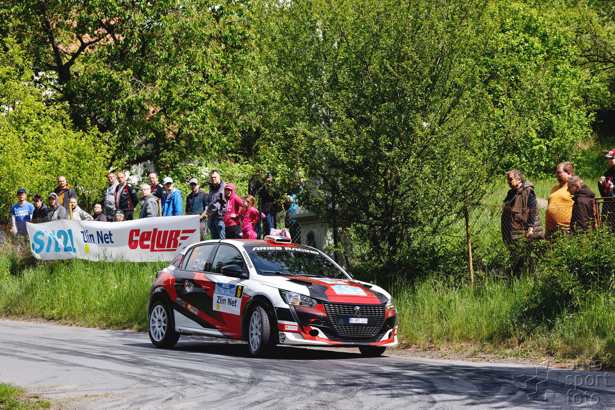 T. Szabosi;asf-3471-5.jpg