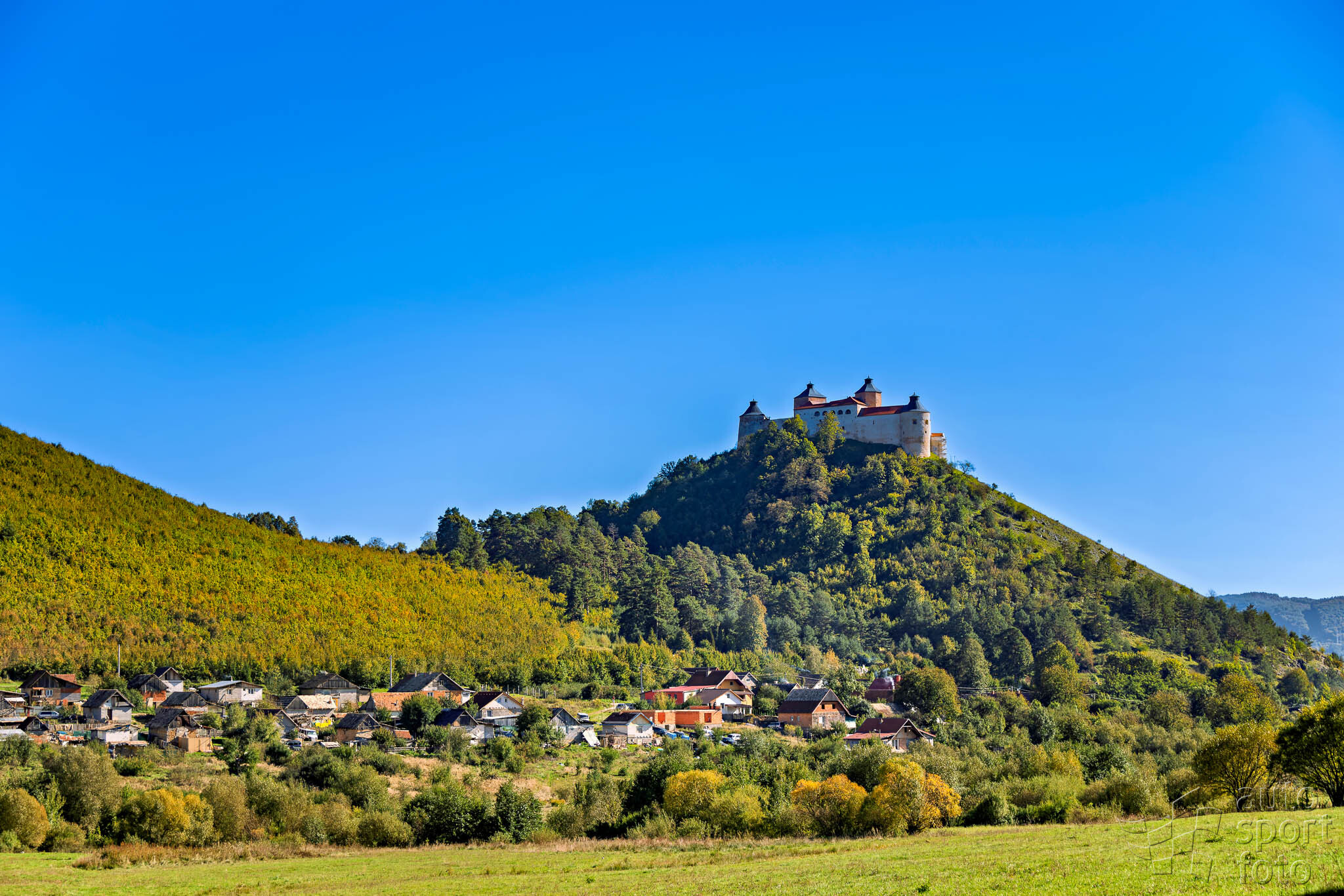 T. Szabosi;asf-9123-11.jpg