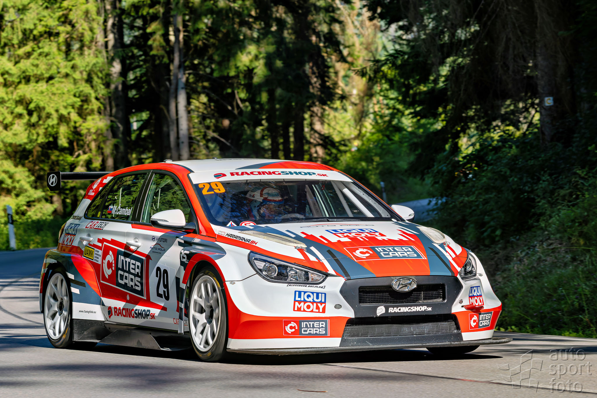 T. Szabosi;asf-7871-10.jpg