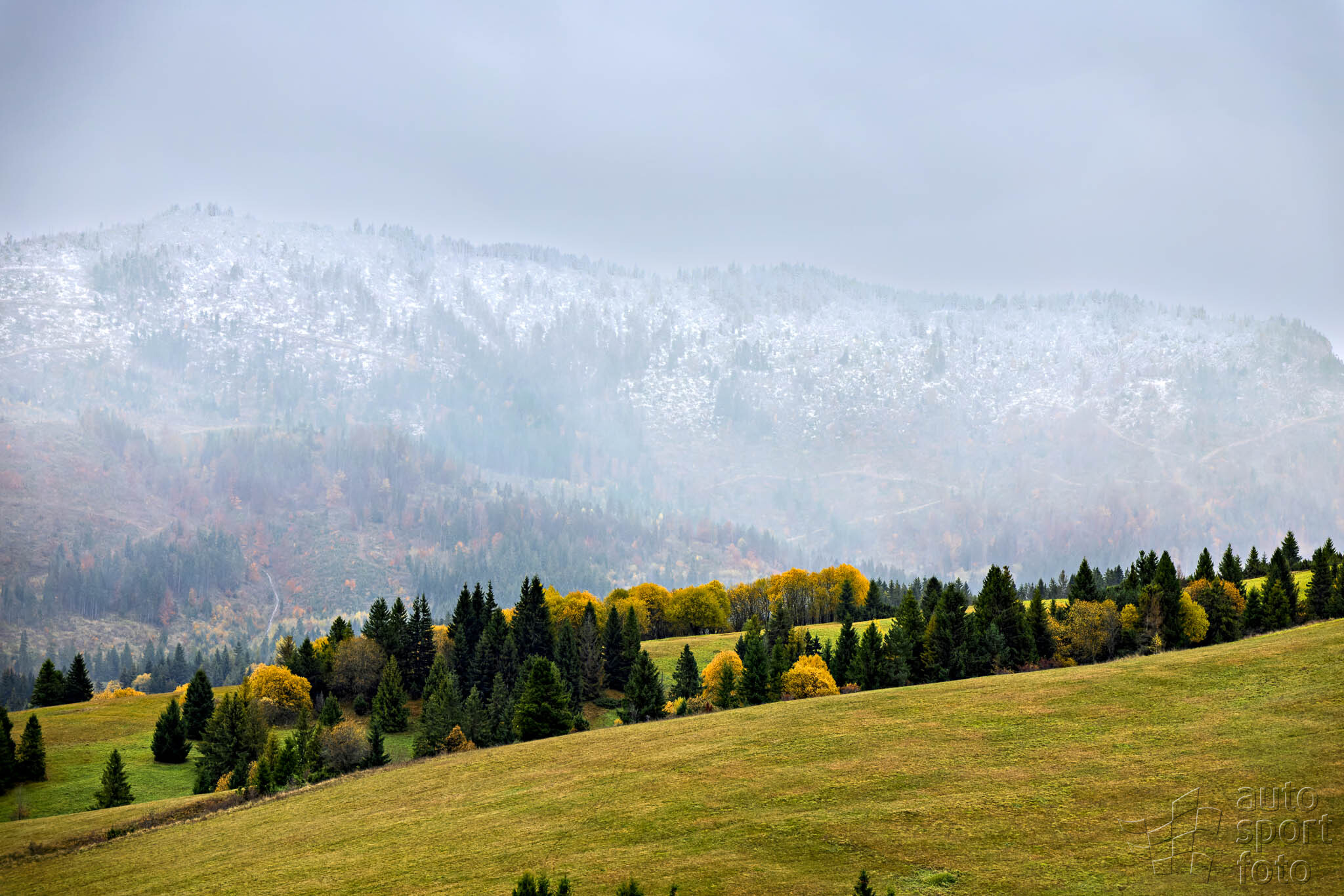 T. Szabosi;asf-1046-6.jpg