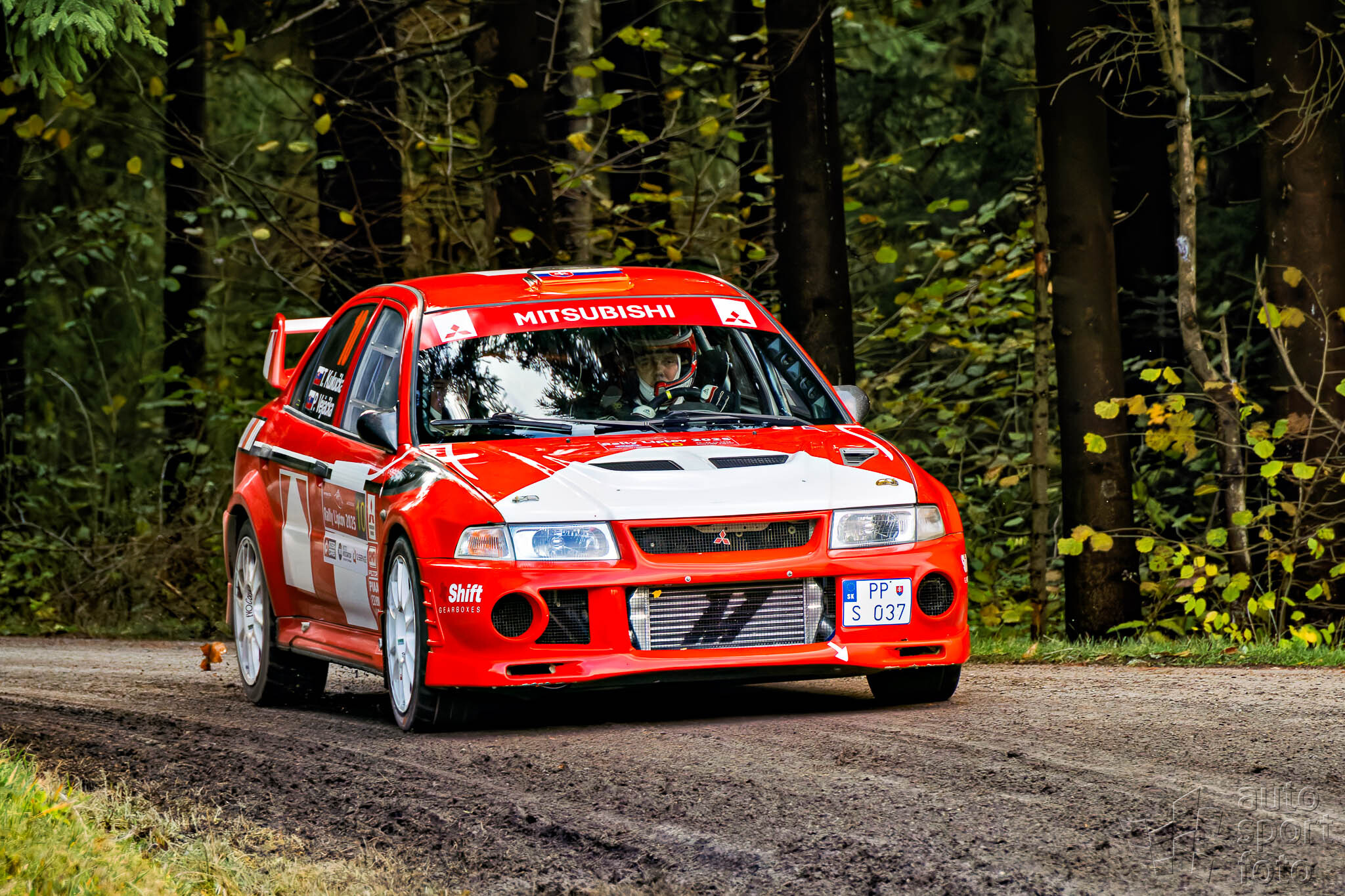 T. Szabosi;asf-5444-10.jpg