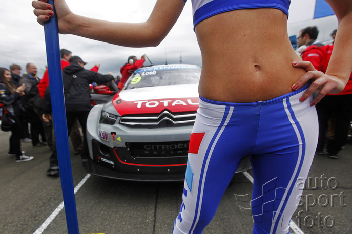 Martin Trenkler/@tWorld;wtcc2014003mt254.jpg